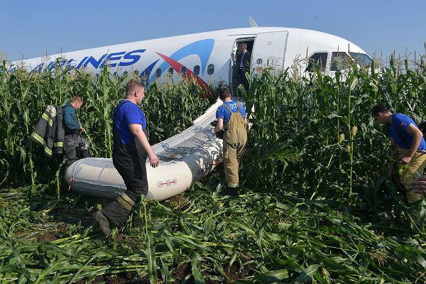 Большинство пассажиров аварийно севшего А321 раздумали лететь в Крым