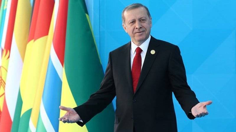 Эрдоган обязал ведомства Турции максимально содействовать строительству АЭС