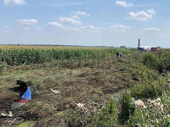 Пассажиры аварийно севшего A321 при эвакуации пытались забрать багаж