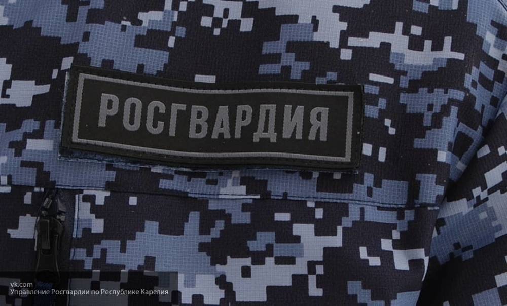 Росгвардейцы задержали мужчину, стрелявшего из ружья в Подмосковье