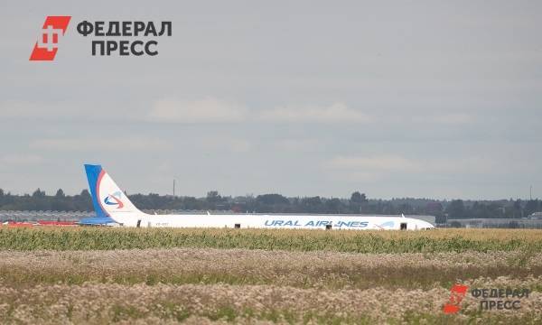 Орнитологи заявили о создании «паспорта аэропорта» после ЧП с А321 | Москва | ФедералПресс