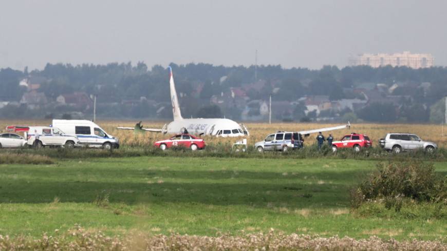 Большая часть пассажиров аварийного A321 передумали лететь в Крым