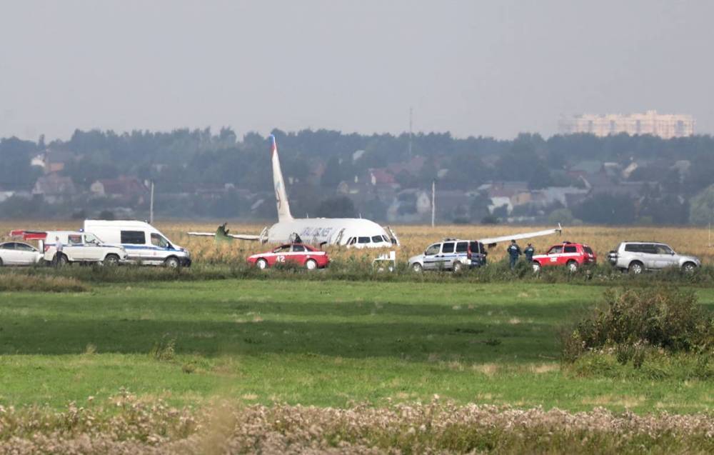 Число обратившихся за помощью после ЧП с самолетом в Жуковском выросло до 76 человек