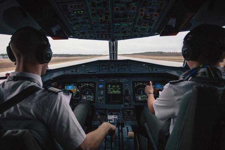 Авиакомпания «Победа» подтвердила попадание птицы в двигатель самолета