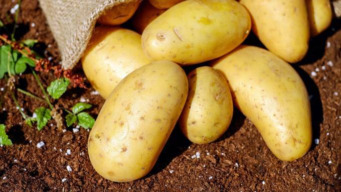 Росстат: россияне стали меньше есть картошки и больше фруктов