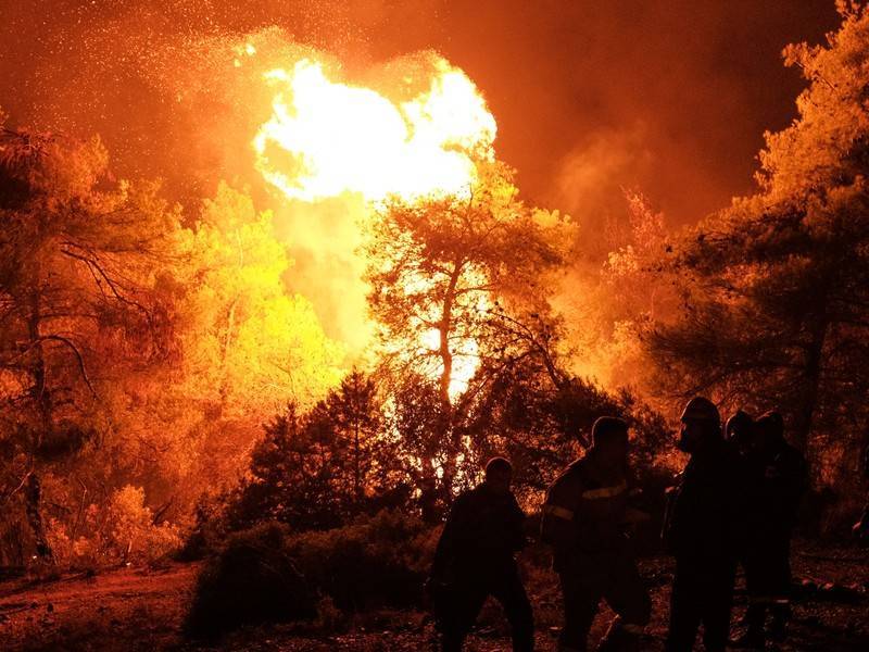 Греческие пожарные задержали поджигателя леса на острове Эвбея