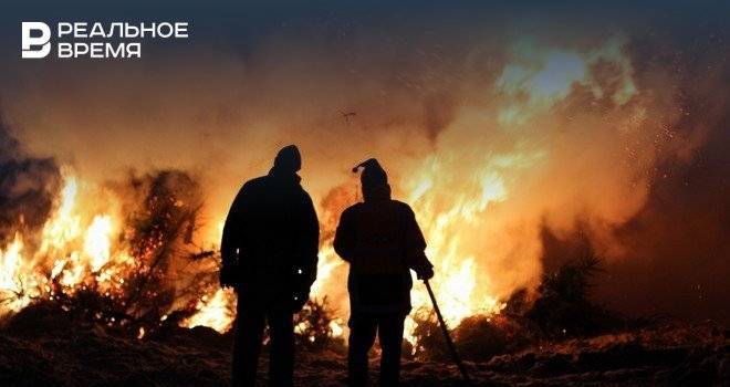 РАН: лесные пожары в Сибири не связаны с незаконной вырубкой