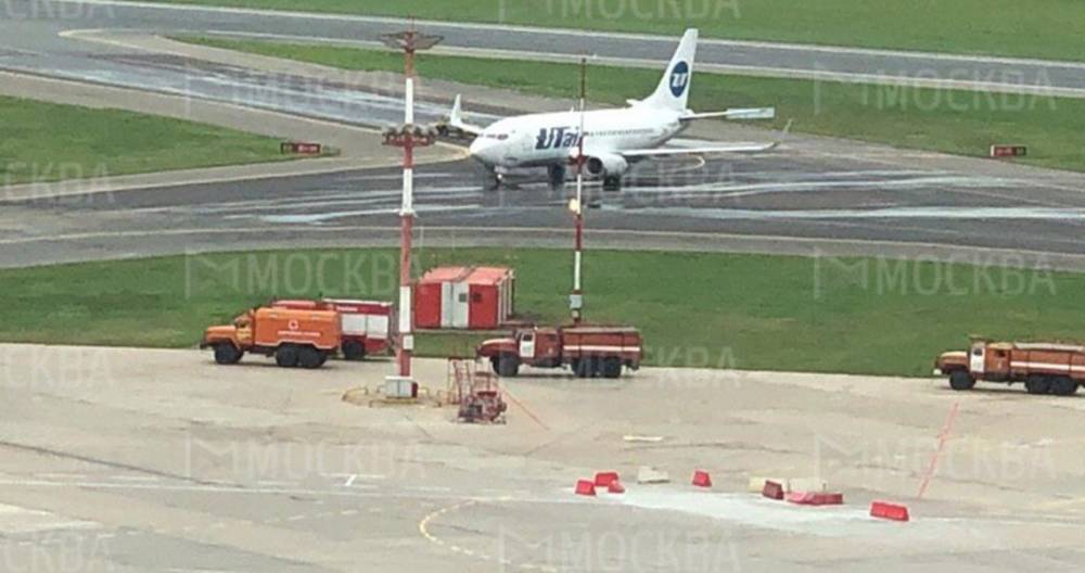 Самолет UTair вернулся во Внуково из-за птиц