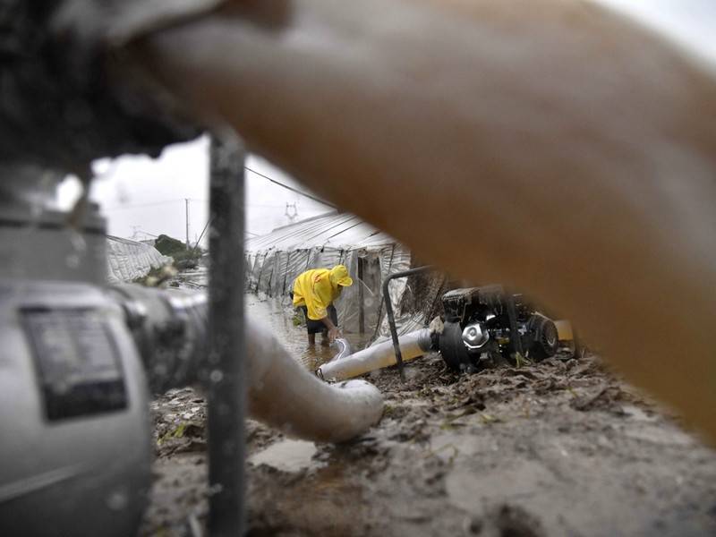 Тайфун «Кроса» обесточил девять населённых пунктов на Сахалине
