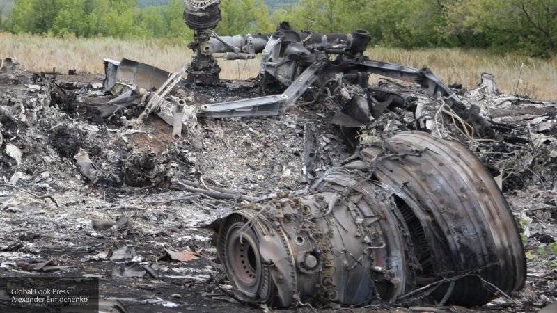 Заявления эксперта по делу MH17 названы "бредом сивой кобылы"