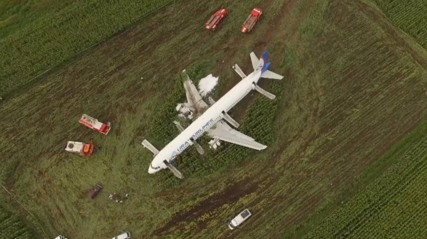 Пилот самолета A-321 забрал с места аварии початок кукурузы
