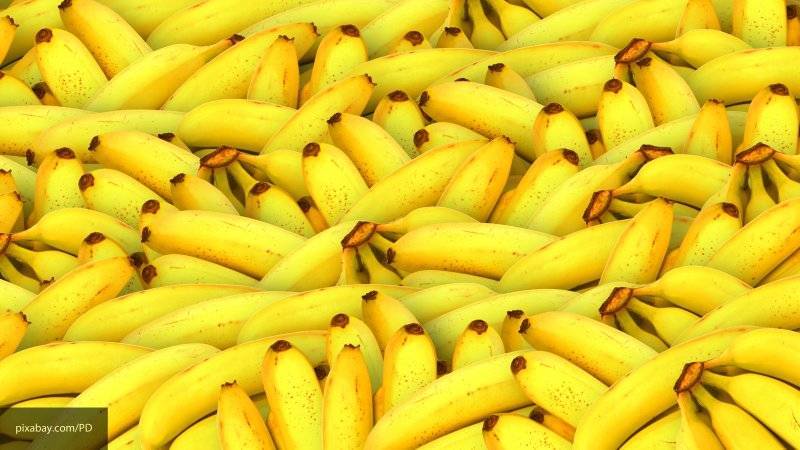 Ученые рассказали о вероятности исчезновения бананов из-за опасной эпидемии