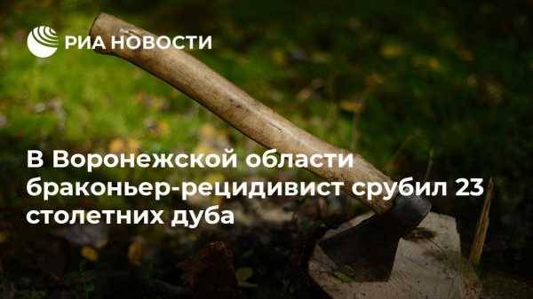В Воронежской области браконьер-рецидивист срубил 23 столетних дуба