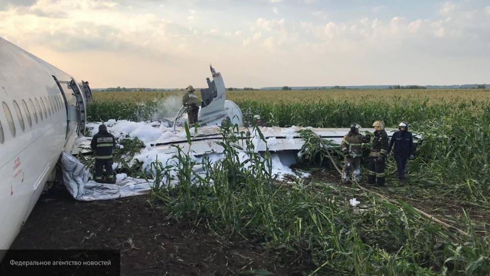 Пассажирка самолета А321 намерена обратиться в суд из-за травли в Сети