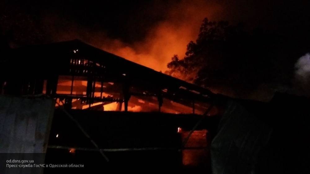 Тела восьми человек обнаружили в сгоревшей в Одессе гостинице «Токио Стар»