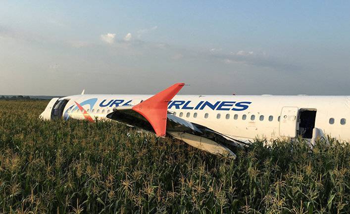 Корреспондент (Украина): авария А321. Почему птицы "сбивают" самолеты