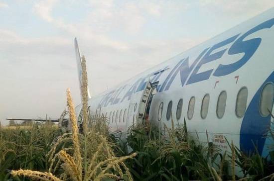 Решение о вывозе аварийно севшего A321 примут 19 августа