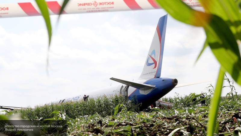 СК опроверг сообщения о мародерах, грабящих севший в кукурузном поле самолет