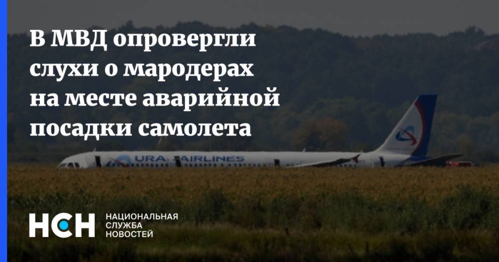 В МВД опровергли слухи о мародерах на месте аварийной посадки самолета