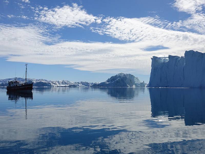 В Совфеде прокомментировали планы Трампа купить Гренландию