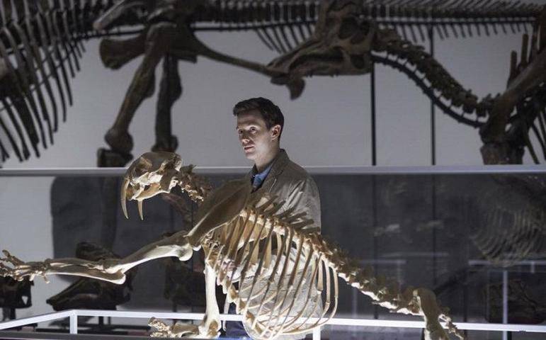 Скелет динозавра возрастом 155 миллионов лет продадут на аукционе в ОАЭ