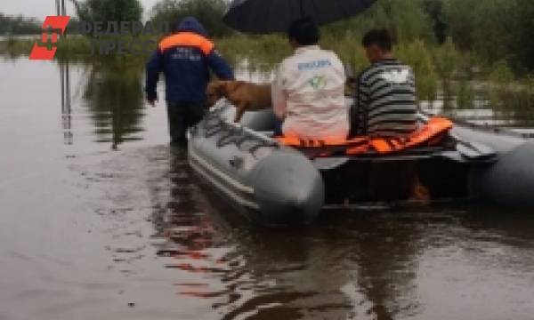 Число домов в Хабаровске, пострадавших от паводка, возросло почти в десять раз | Хабаровский край | ФедералПресс
