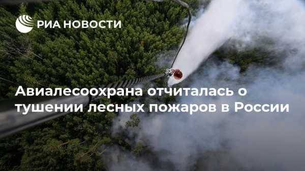Авиалесоохрана отчиталась о тушении лесных пожаров в России