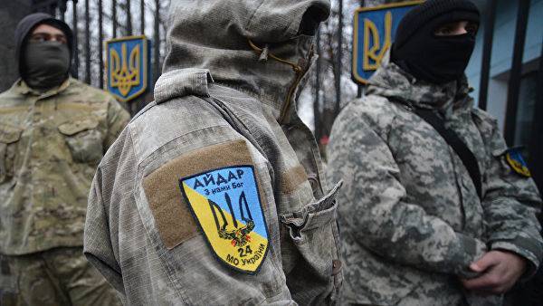 Боевики «Айдара» отравились ядовитыми грибами в Донбассе