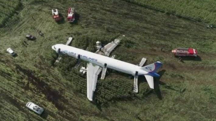 Посадивший аварийный A321 в Подмосковье пилот вернулся в Екатеринбург