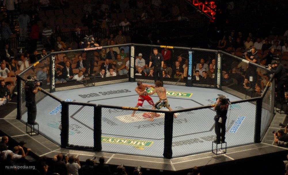 Опубликовано видео победного нокаута Миочича в бою с Кормье в рамках UFC 241