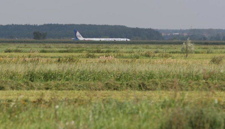 СК опроверг слухи о мародерстве на месте посадки самолета А321