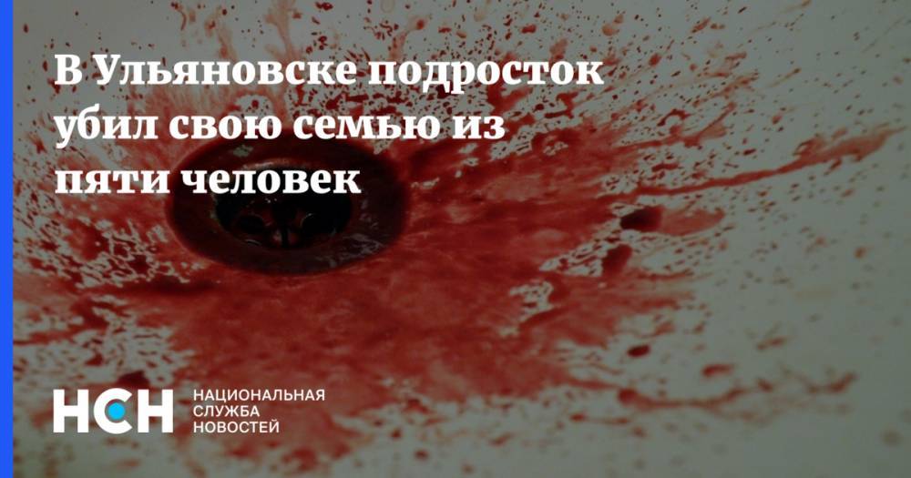 В Ульяновске подросток убил свою семью из пяти человек
