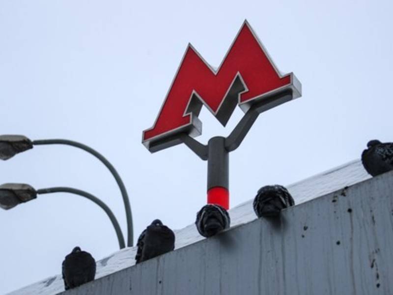 Пассажир упал на рельсы в московском метро и выжил