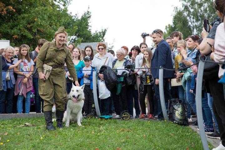Более пяти тысяч человек посетили День фронтовой собаки в Музее Победы