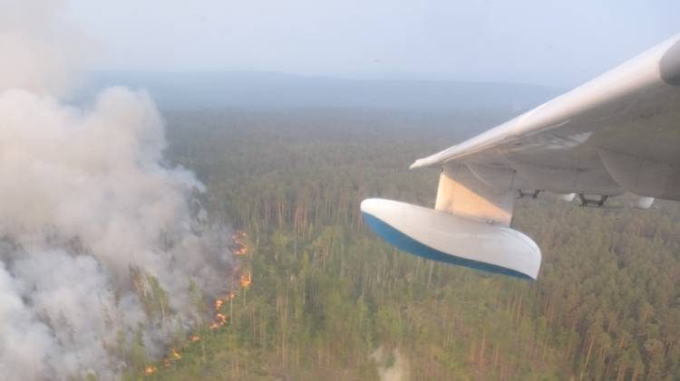 Авиалесоохрана отчитались о тушении пожаров в российских лесах за день