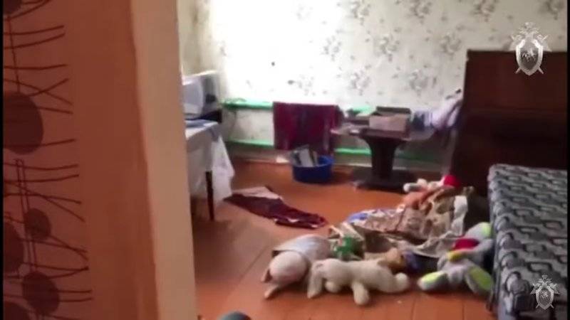 Видео с места жуткой бойни в Патрикеево опубликовал Следственный комитет
