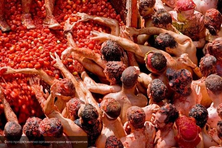 В Петербурге сегодня стартует фестиваль «Томатина», на который завезли 20 тонн помидоров
