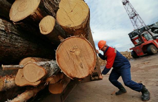 Индия отберет российский лес у Китая