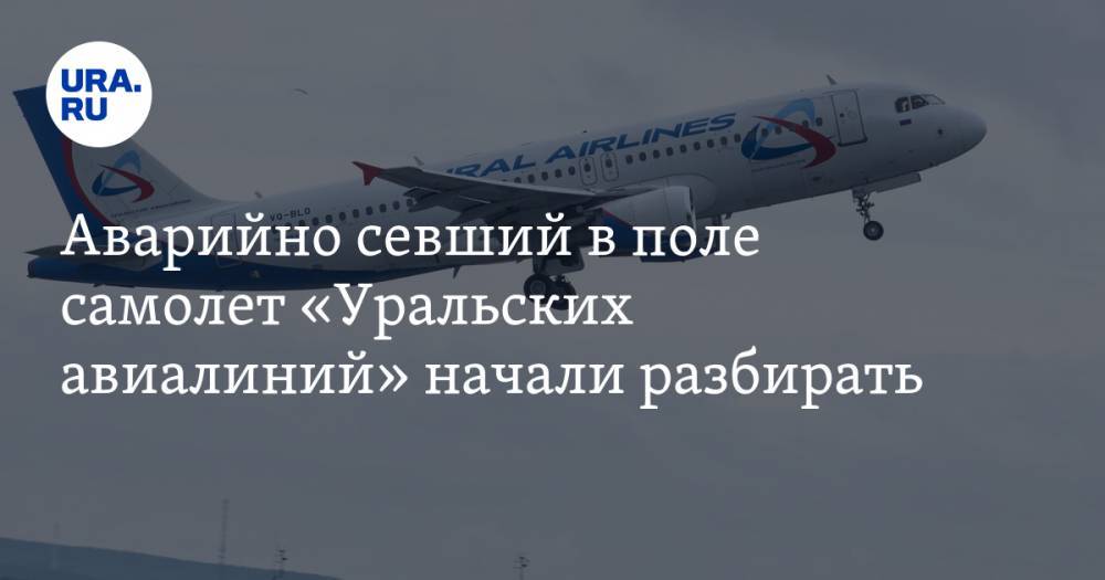 Аварийно севший в поле самолет «Уральских авиалиний» начали разбирать — URA.RU
