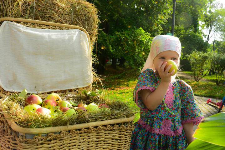 Эксперты рассказали, как выбрать качественные яблоки летних сортов