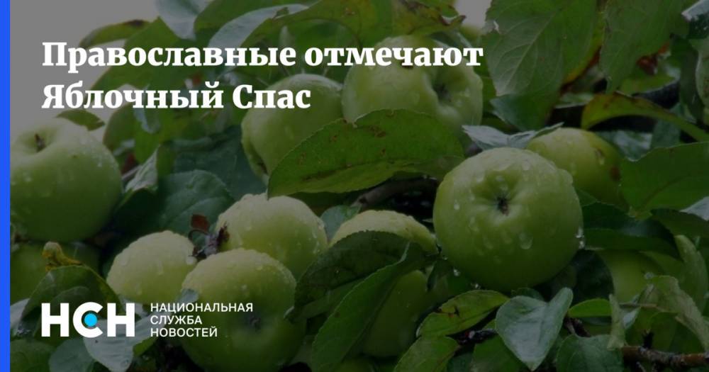 Православные отмечают Яблочный Спас
