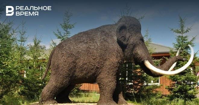 В Башкирии школьники нашли останки мамонта возрастом более 10 тыс. лет