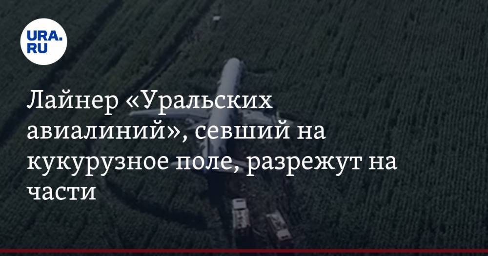 Лайнер «Уральских авиалиний», севший на кукурузное поле, разрежут на части. ВИДЕО — URA.RU