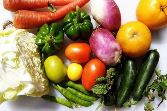 В России начали действовать новые правила ввоза фруктов и овощей