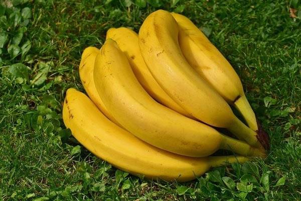 Колумбия сообщила о грядущем дефиците бананов
