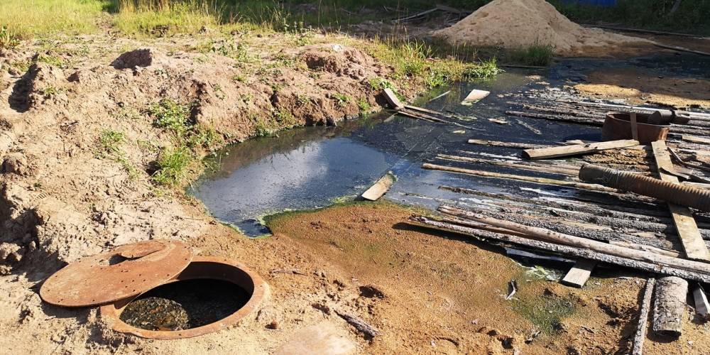 Народный корреспондент: «Синдорская колония устроила болото из канализационных стоков»