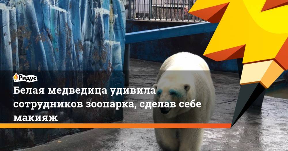 Белая медведица удивила сотрудников зоопарка, сделав себе макияж. Ридус