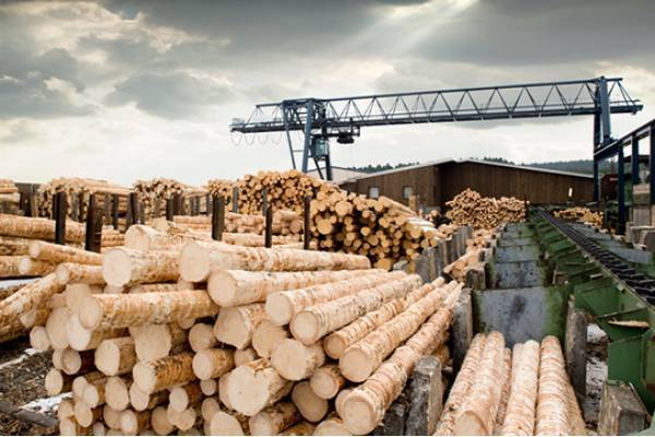 Минпромторг отказался запрещать экспорт российского леса в Китай