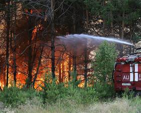 Красноярский губернатор, призвавший не тушить лесные пожары, получил неожиданную поддержку