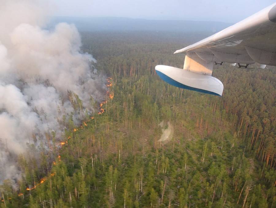 За сутки под Красноярском потушили пожары площадью 23 тысячи гектаров